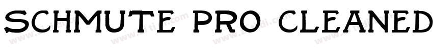 schmute pro cleaned字体转换